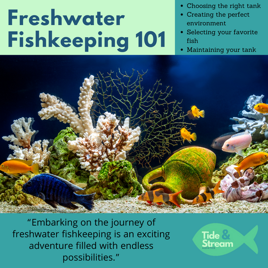 Freshwater Fishkeeping 101