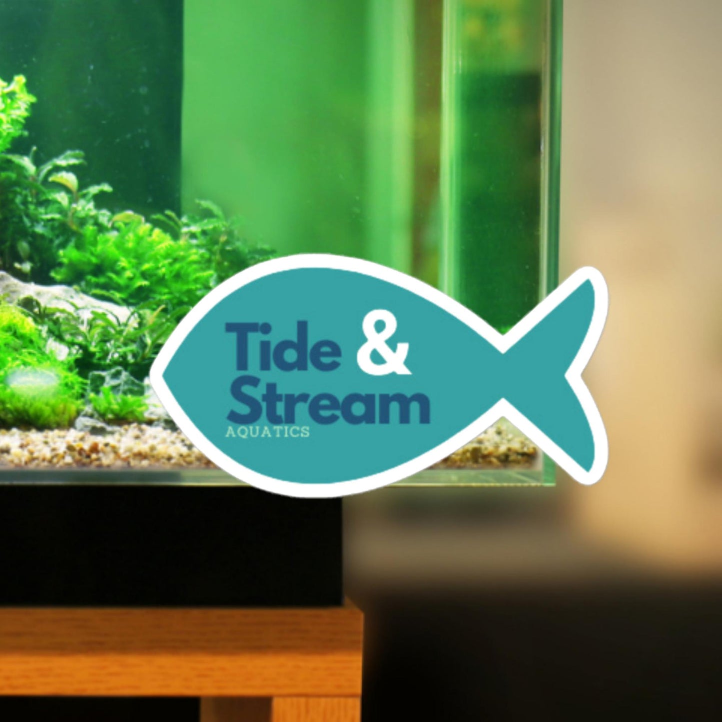 Tide & Stream Aquatics Sticker